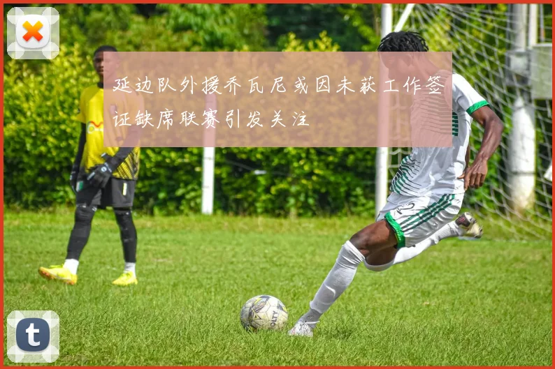 延边队外援乔瓦尼或因未获工作签证缺席联赛引发关注