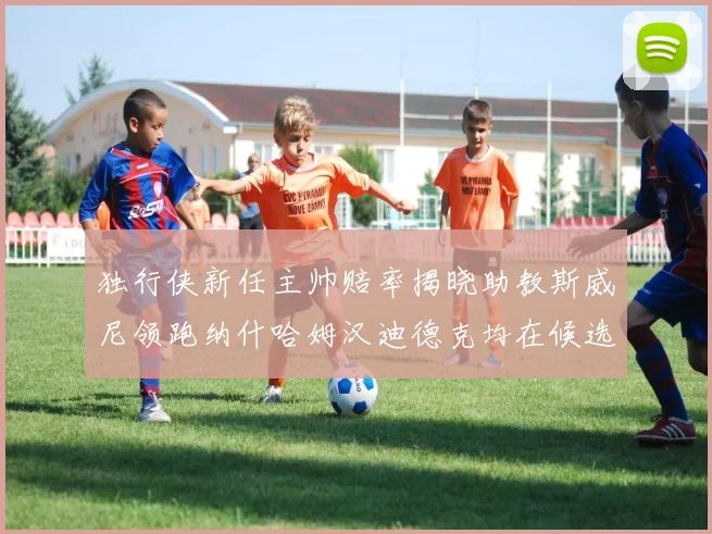独行侠新任主帅赔率揭晓助教斯威尼领跑纳什哈姆汉迪德克均在候选之中