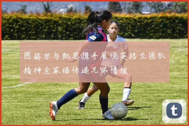 图赫尔与凯恩携手展现英格兰团队精神全家福传递兄弟情谊