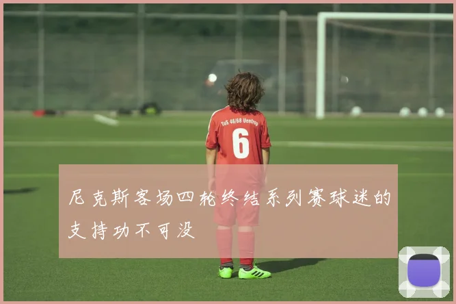 尼克斯客场四轮终结系列赛球迷的支持功不可没