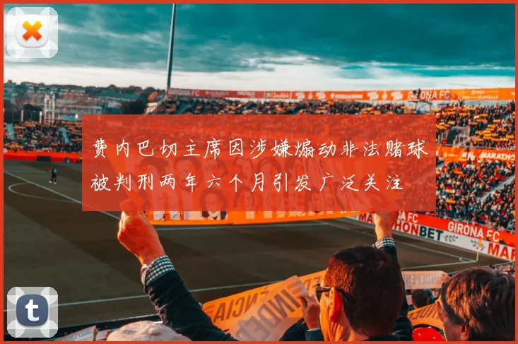 费内巴切主席因涉嫌煽动非法赌球被判刑两年六个月引发广泛关注